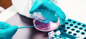 Η Pfizer στην καταπολέμηση της Μικροβιακής Αντοχής