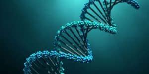 Εντοπίστηκε σπάνια χρωμοσωμική αλλοίωση που σχετίζεται με την υπογονιμότητα