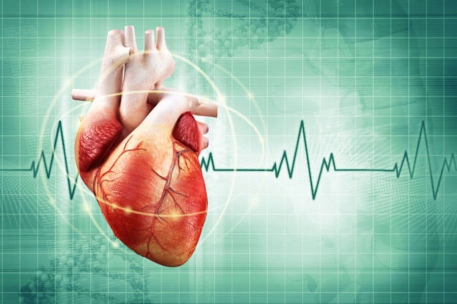 ΥΓΕΙΑ: Διακαθετηριακή τεχνολογία PASCAL για την τριγλώχινα βαλβίδα της καρδιάς