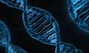 Eρευνητές βρίσκουν πιθανές νέες θεραπείες για σπάνιες νευρολογικές διαταραχές