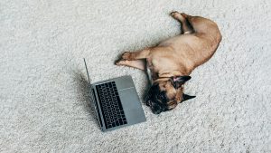 How to Recover from Work Stress, According to Science