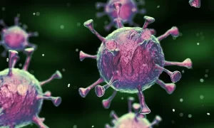 Η ανθρώπινη πρωτεΐνη γνωστή ως PCNA [πολλαπλασιαζόμενο πυρηνικό αντιγόνο κυττάρων] αλληλεπιδρά με την πρωτεΐνη SARS-CoV-2 M [μήτρα]